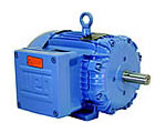 Explosion Proof - Three-Phase - High Efficiency